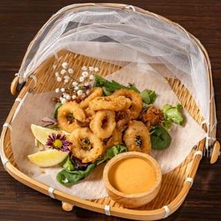 Fried Calamari